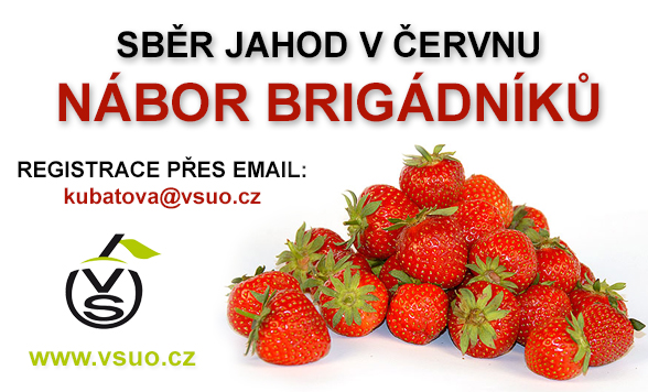 Brigáda jahody